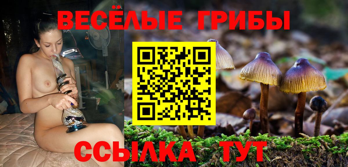 Галлюциногенные грибы прущие грибы  Вход с VPN  Георгиевск 